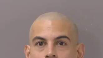 Armed Harrisonburg Man Surrenders After Overnight Police Standoff