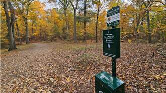 Pilot Program Seeks To Reduce Dog Poop Bags At Middlesex Fells Reservation