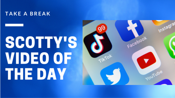 Watch This: Puppy Takes His Horse For A Walk