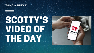 Watch This: Can Chickens Carve A Pumpkin