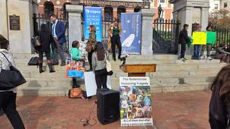 Advocates Speak Out Against Certain Rat Poisons, Lawmakers Hold Hearing