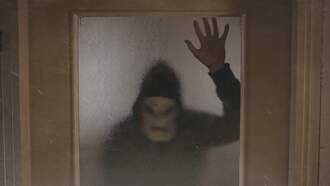 Masked Miscreants Who Menaced Virginia Family Revealed to be Pranksters