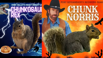 'Chunkosaurus Rex' Wins Texas' Inaugural Fat Squirrel Week