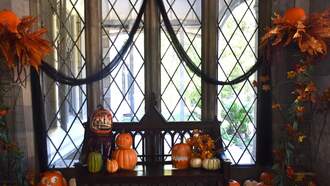 Embracing the Beauty of Fall