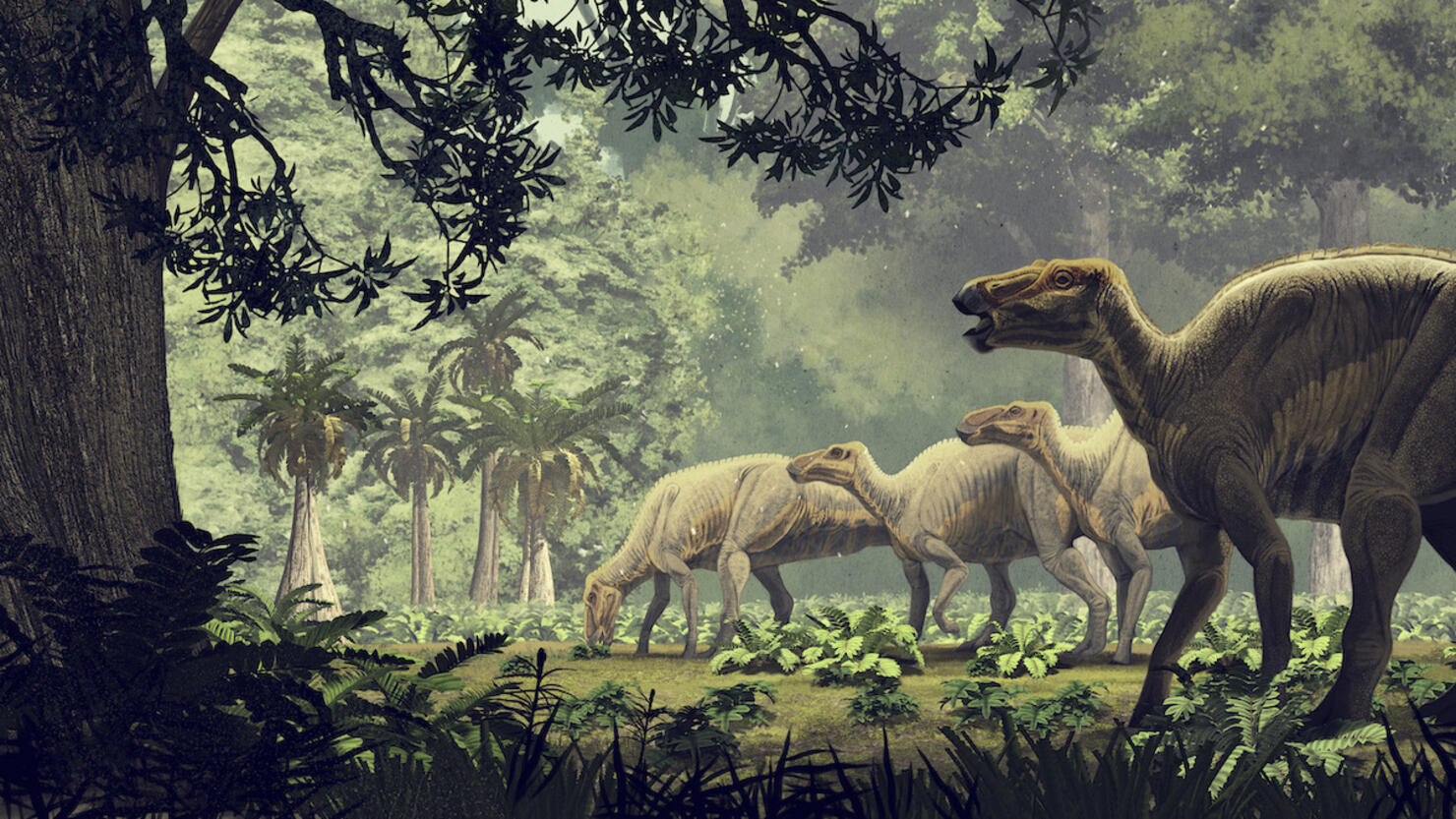 Edmontosaurus annectens, a saurolophine hadrosaur from the Maastrichtian (Late Cretaceous) of North America.