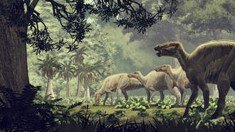 'Preserved' Dinosaur 'Mummies' Discovered