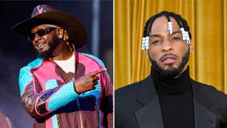 Music News - T-Pain Pokes Fun At Armani White’s Viral Mugshot On Birthday Cake