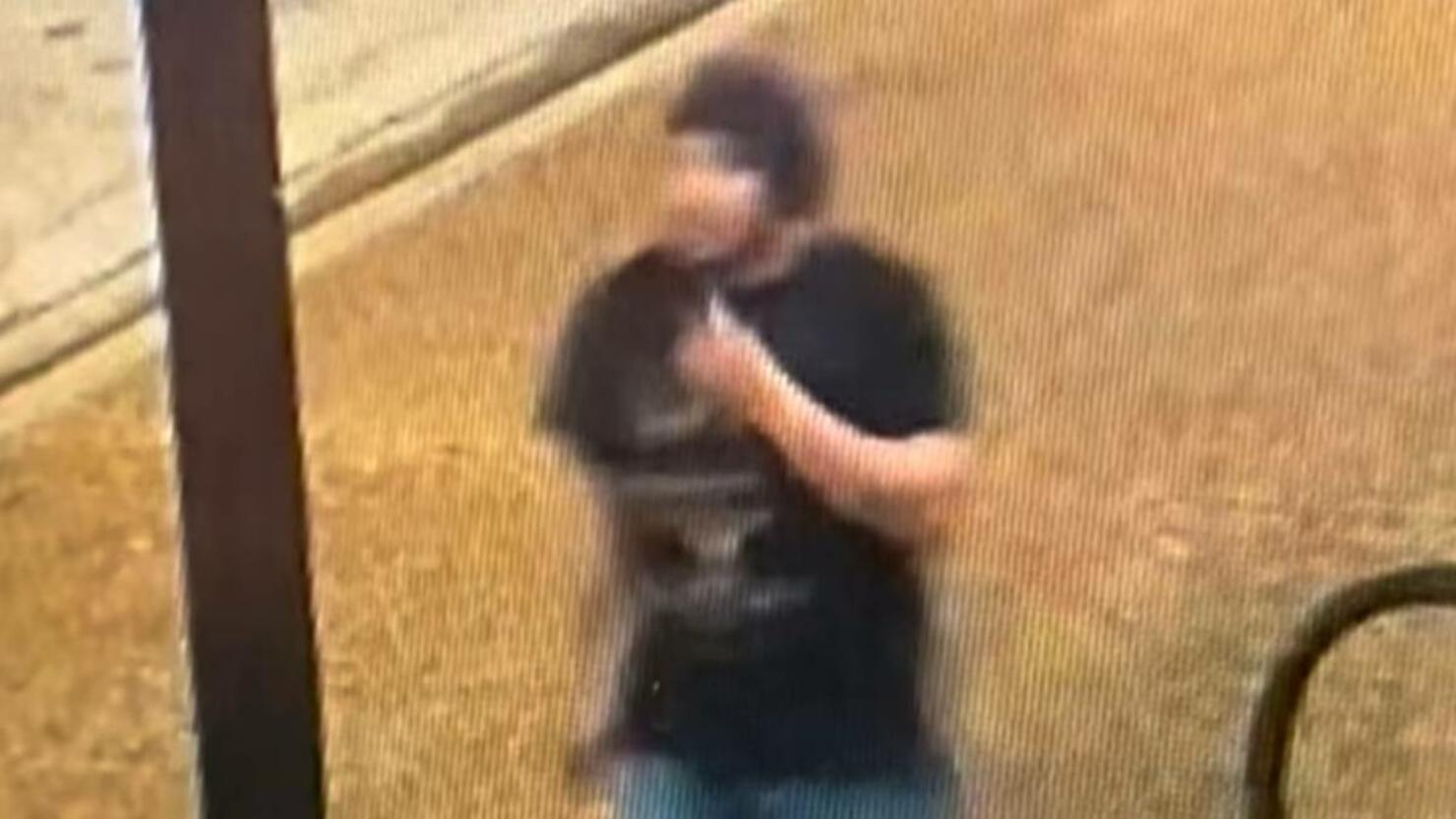 Attempted Kidnapping suspect