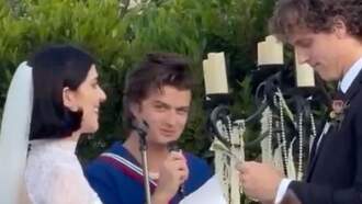Joe Keery Performed A Wedding In His Steve Harrington Scoops Ahoy Outfit!