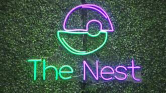 SSOTD: SafeNest Launches New Facility to Support Survivors 