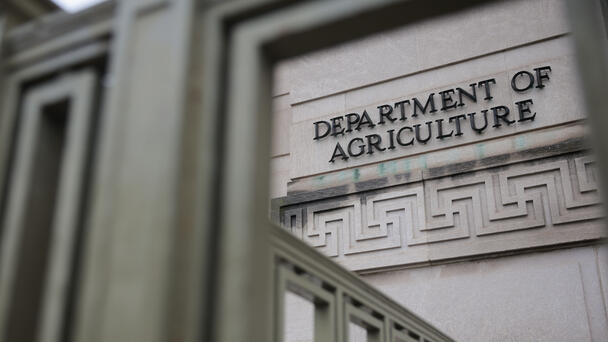 Judges Order Trump Administration To Fund SNAP: Here's What Happens Next