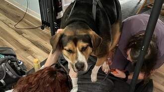 My "Happy Millie and Happy Grand Kids" Weekend in Pictures  