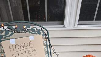 Pictures from The Weekend!