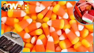 Ryan Seacrest - Did You Save Halloween Candy? Here's How Long It Lasts