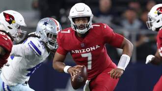 The Arizona Cardinals Should Stick with Jacoby Brissett