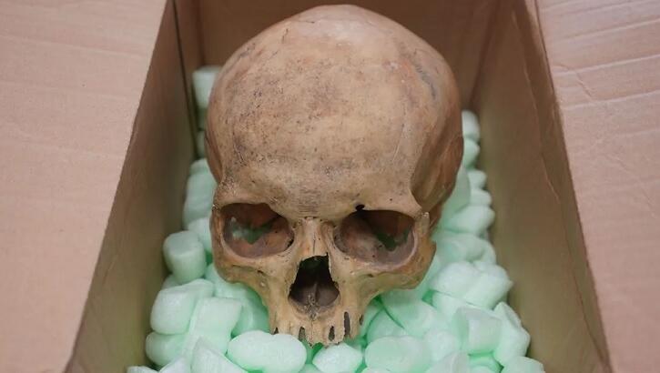 Stolen Skull Returned to Austrian Cathedral
