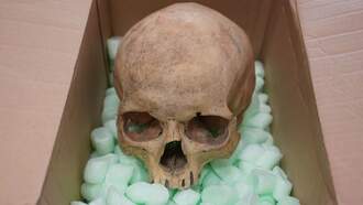 Coast to Coast AM with George Noory - Stolen Skull Returned to Austrian Cathedral