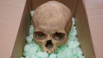 Stolen Skull Returned to Austrian Cathedral