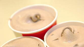 Wendy’s Set to ‘Sleigh the Season’ With New Holiday-Inspired Frosty Flavor 