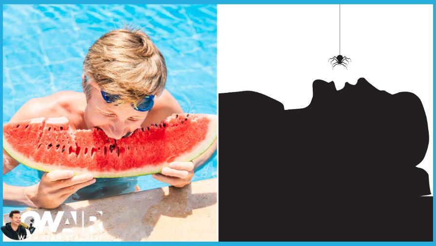 Swallow Spiders When You Sleep? Debunking Urban Myths We've Always Believed