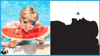 Ryan Seacrest - Swallow Spiders When You Sleep? Debunking Urban Myths We've Always Believed