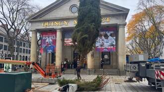 Faneuil Hall Welcomes It's Official Christmas Tree For The Holiday Season