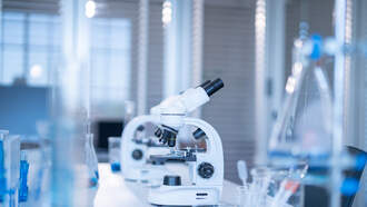 The Ethics And Effectiveness Of Cloning 