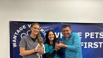 Let's Help My Pets Of The Week, Alfie and Andie!