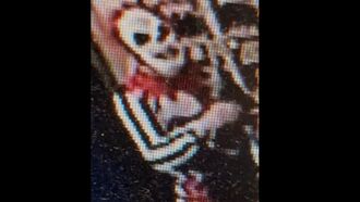 Creepy Clown Brazenly Burglarizes British Woman's Home on Halloween