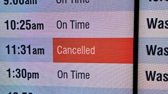 Travelers React To Cancellations and Delays At Logan Due To Govt. Shutdown