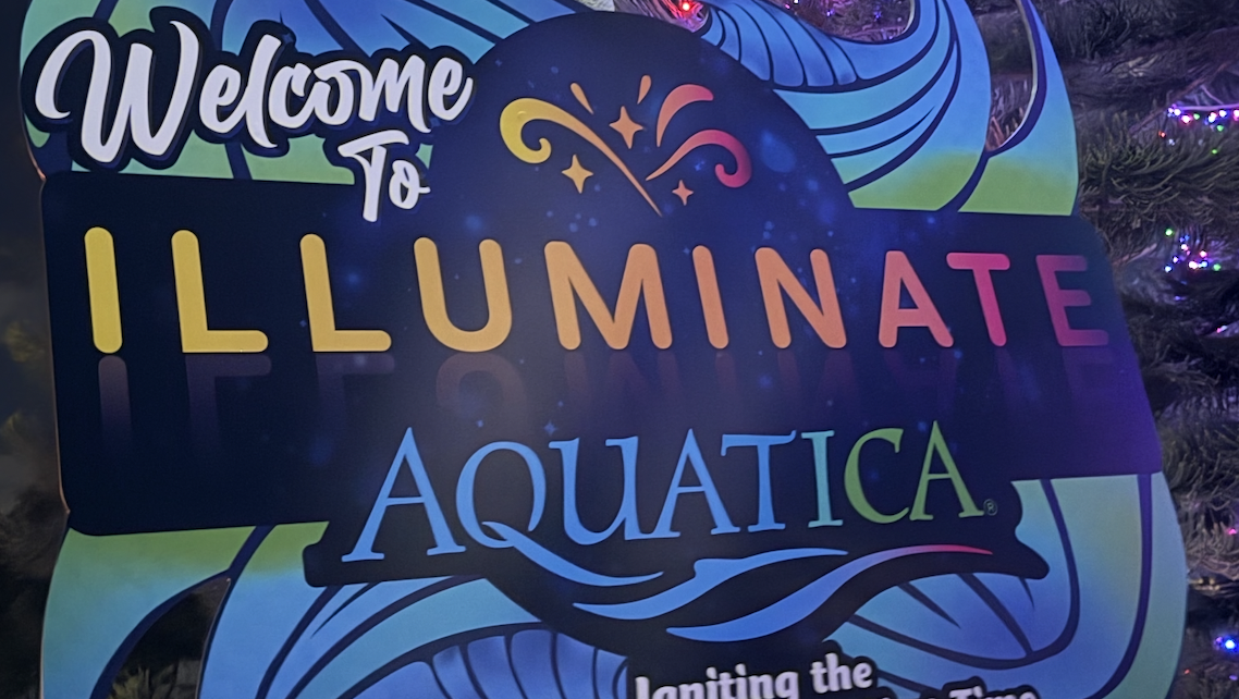 A Journey Under The Lights