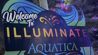 A Journey Under The Lights