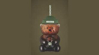 Beary Elusive: Starbucks' 'Bearista' Cup Sells Out Within Minutes