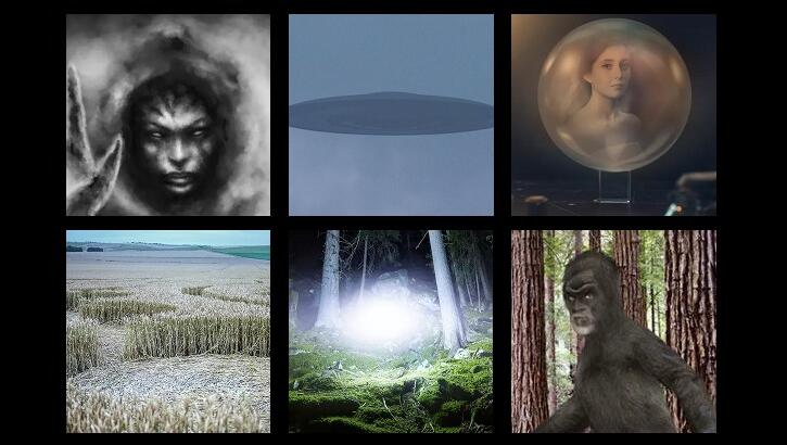 This Week's Weird News 11/7/25