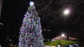 Grand Rapids to install Christmas tree next Wednesday, light it on Nov.22