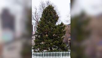 Snowport Officially Opens For The Holiday Season In Boston