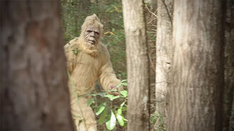 Bigfoot Featured on Idaho 'I Voted' Stickers