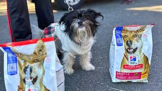 MSPCA Holds Pet Food Drive Amid Government Shutdown