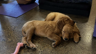 Jenny's Weekend in Five Pics: 11/7 - 11/9