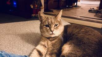 Laura - WEEKEND IN PICTURES