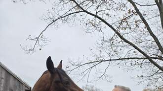 Kelly Brown - Pictures from The Weekend