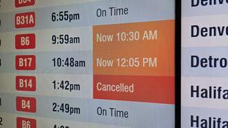 Cancellations, Delays Continue At Logan As Shutdown Potentially Nears End