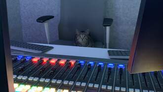 Alabama has a Frisky Kitty!