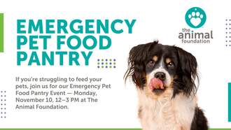 SSOTD: Animal Foundation hosts emergency pet food pantry