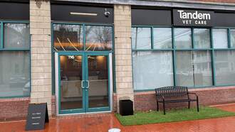 Tandem Vet Care Gets Ready For "Cat Tour" Event In Somerville 