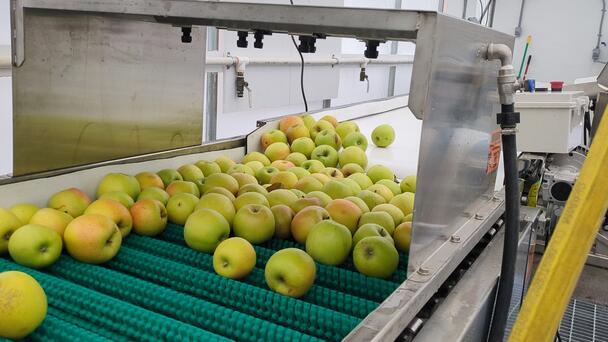 Boston Area Gleaners Gives Leftover Produce From Farms To Food Pantries