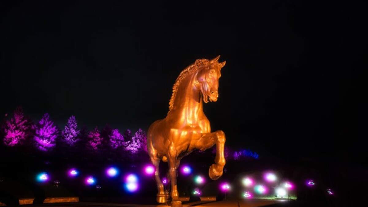 Frederik Meijer Gardens bringing back 'Enlighten' holiday lights display