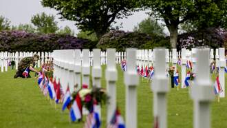 Displays Honoring Black U.S. Soldiers Removed From WW2 Cemetery