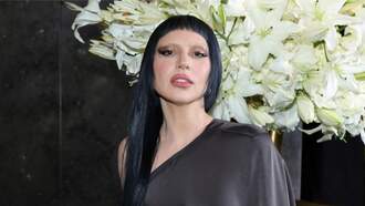 Lady Gaga Stops Mid-Performance To Help Distressed Fan In Crowd