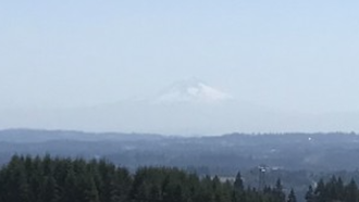 Smokey Air Causes More ER Visits